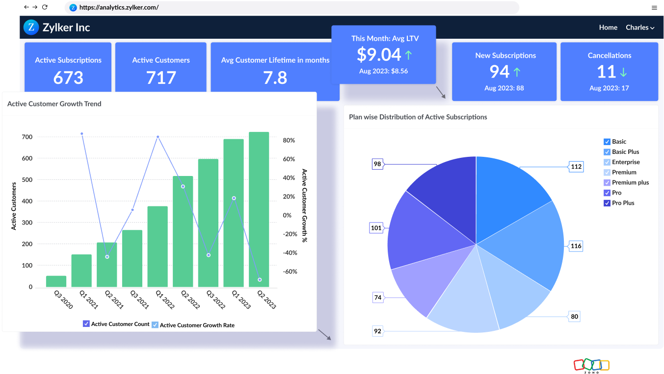 Embedded analytics integration showing seamless BI capabilities within applications