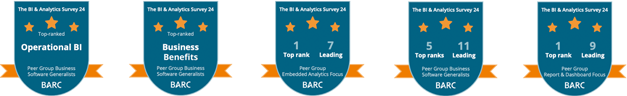 The BI and Analytics Survey 21