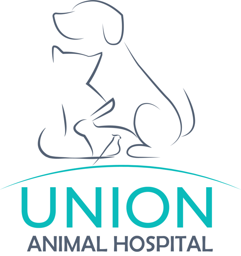 Union Animal Hospital