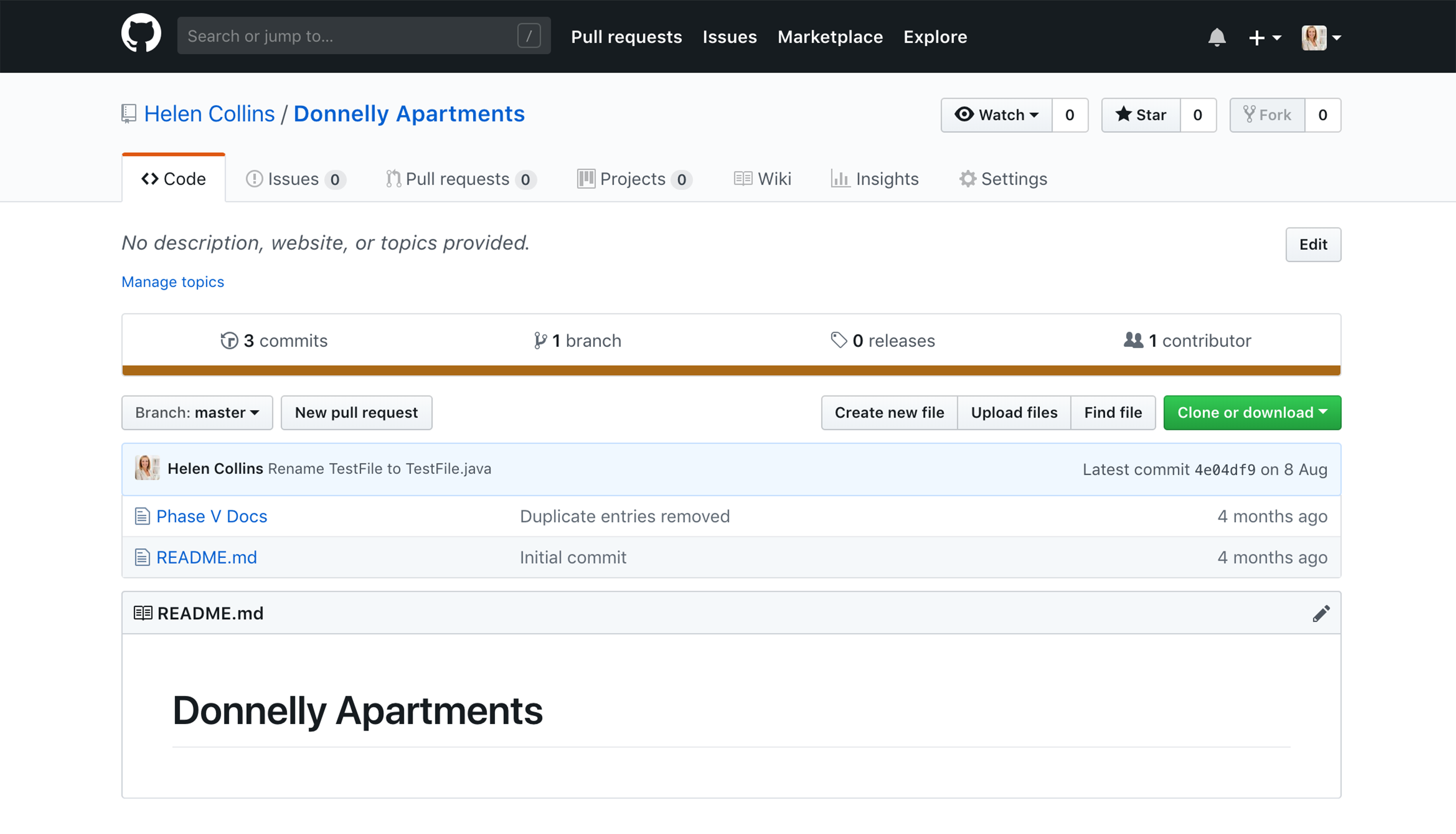 Github repository view
