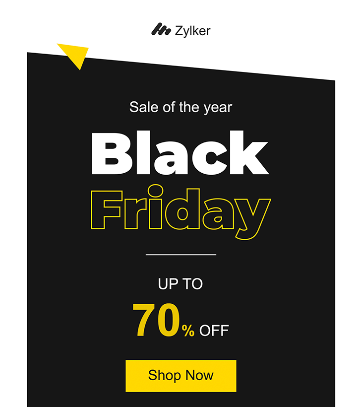 Zylker Black Friday sale email