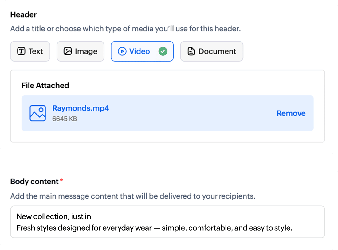 managing marketing campaign channels.