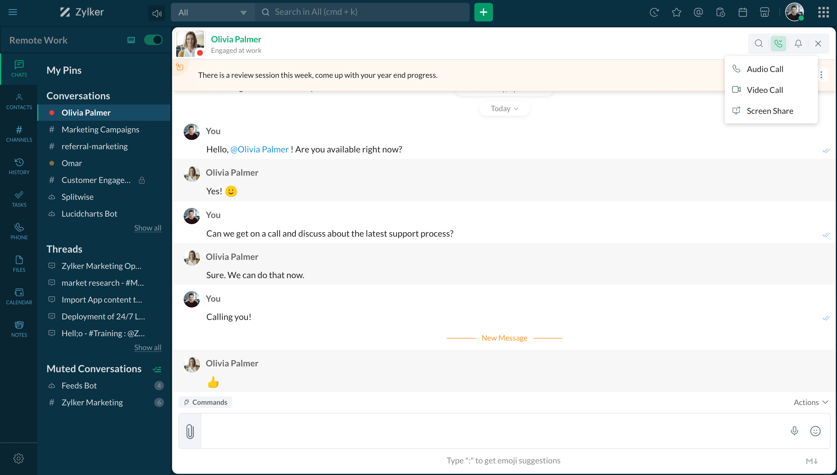 Collaborate Over Audio / Video Calls