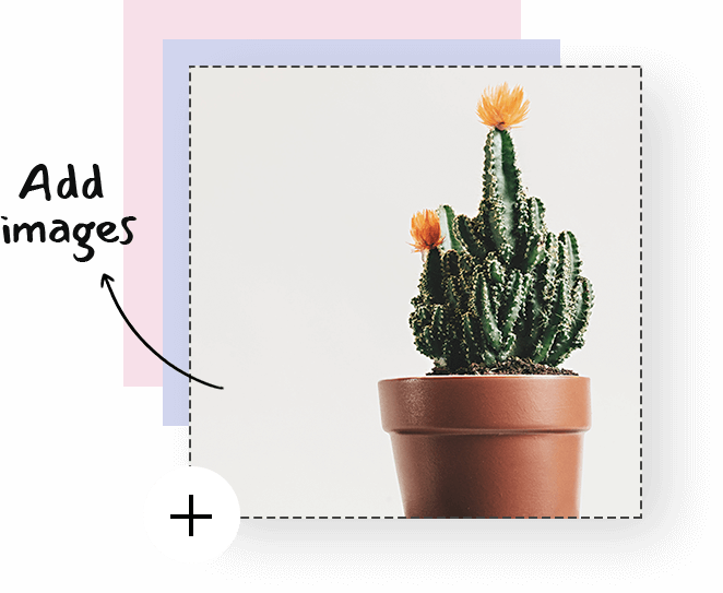 No-code Website Design