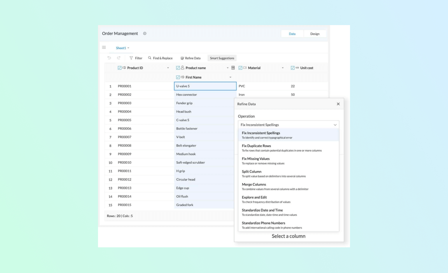 Data Enrichment