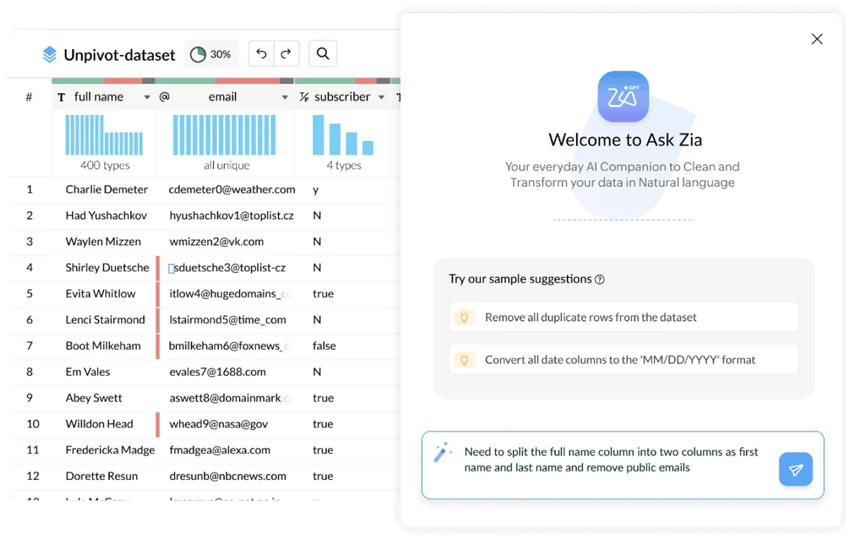 AI-assisted data cleanup