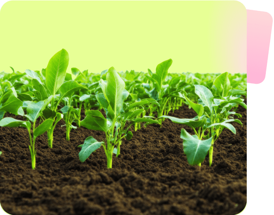 Make data-driven decisions to boost farm productivity and sustainability