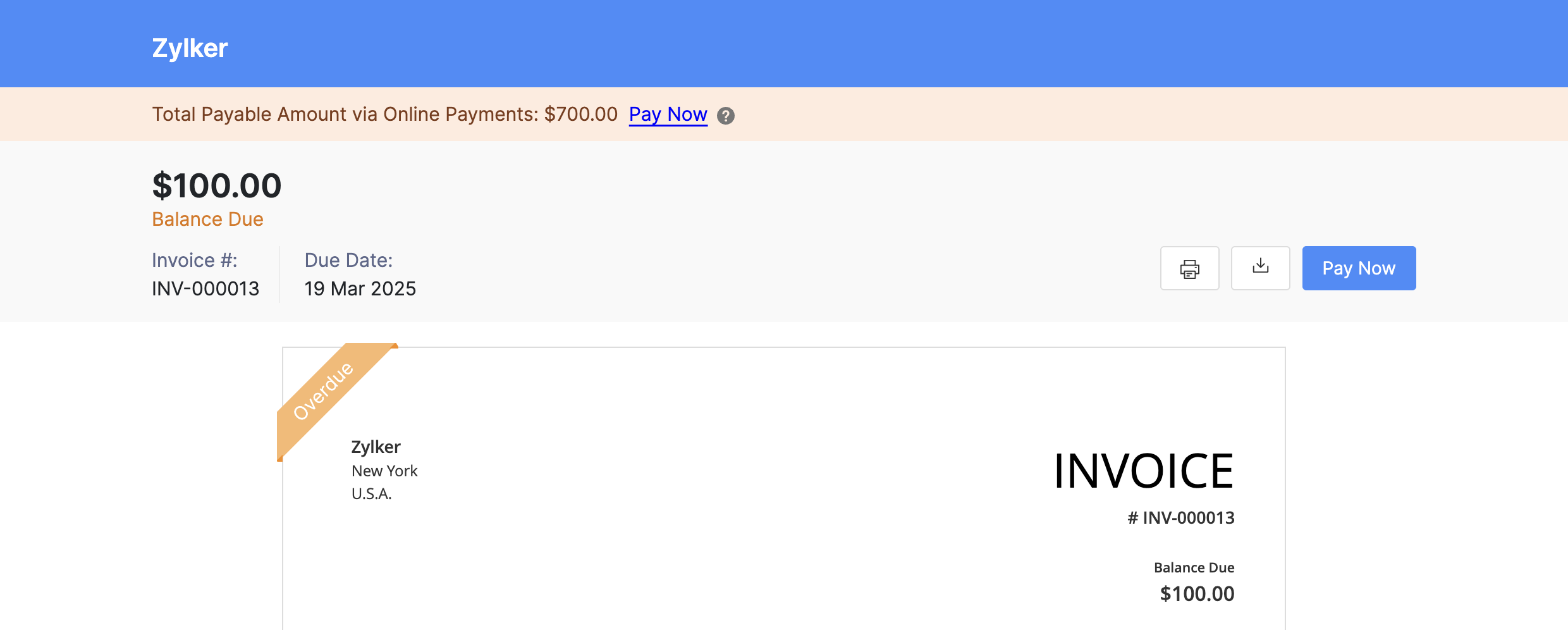 Invoice Details Page