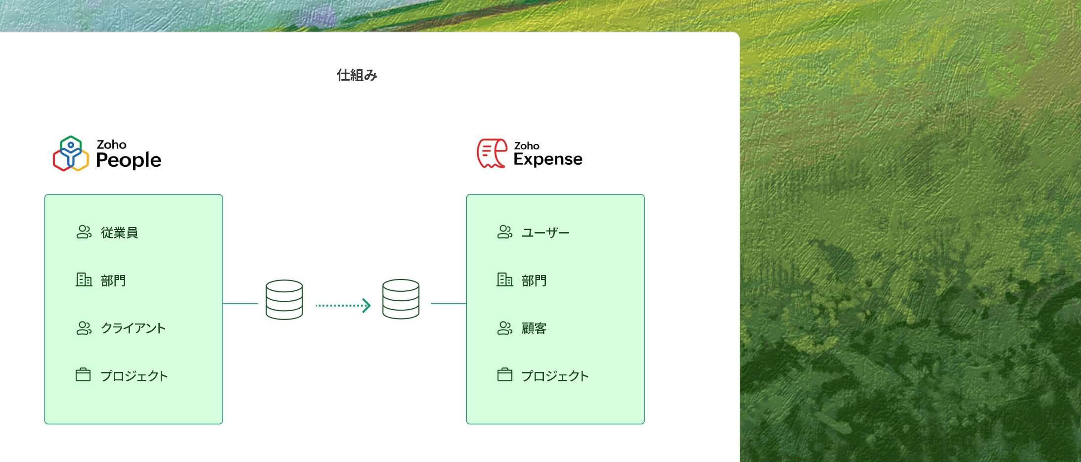 率直なフィードバックを奨励