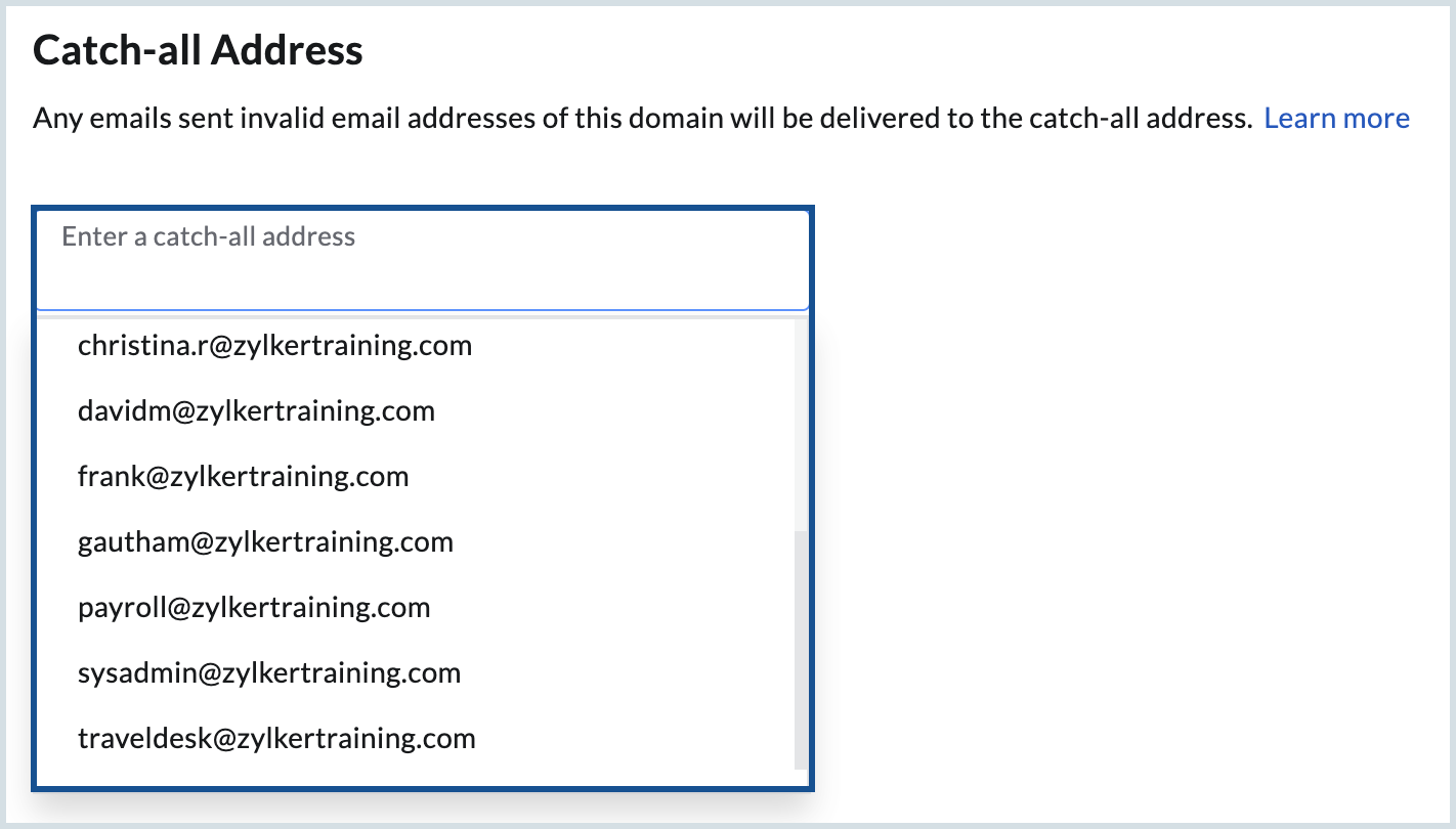 Enter a catch-all address Enter a catch-all address