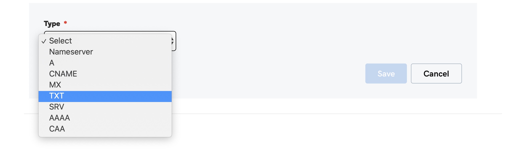 レコードタイプをTXTに設定します。 レコードタイプをTXTに設定します。