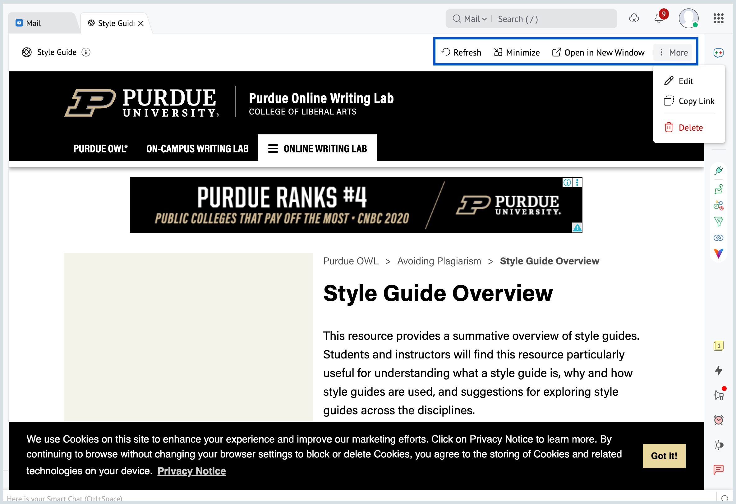 View Web Tabs