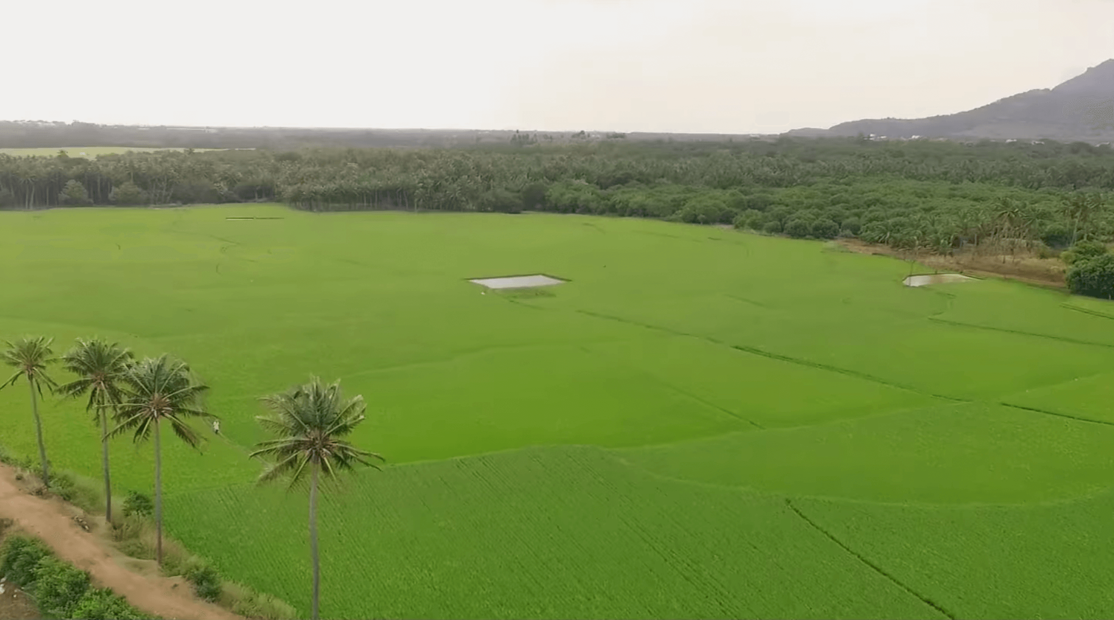 Tenkasi