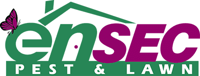ensec-pest-lawn