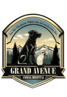 Grand Avenue Animal Hospital