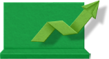 Accountants and Bookkeepers
