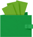 Finance Consultants