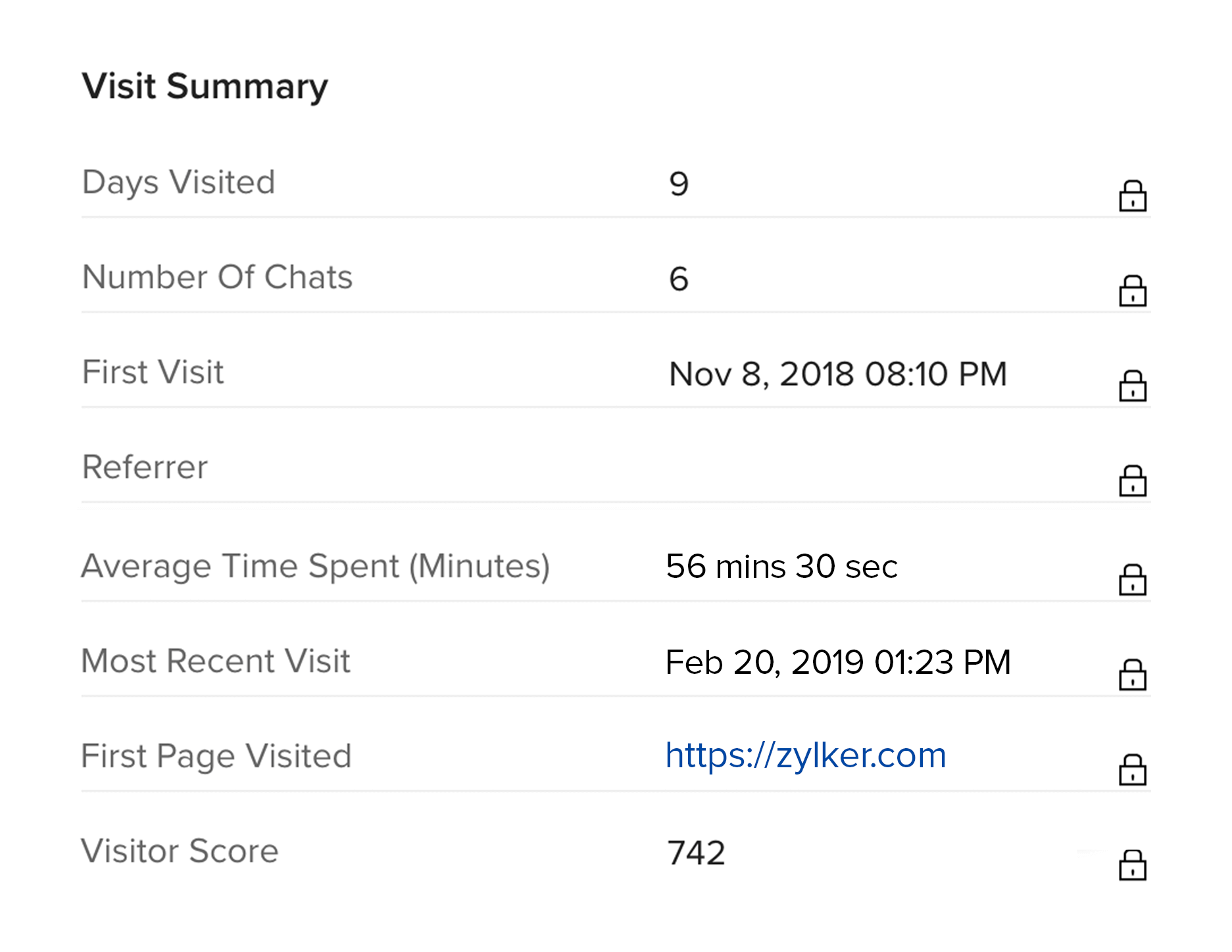 Website visitor details with chat summary