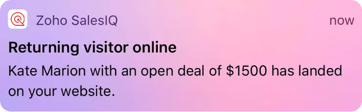 New website visitor notification your mobile