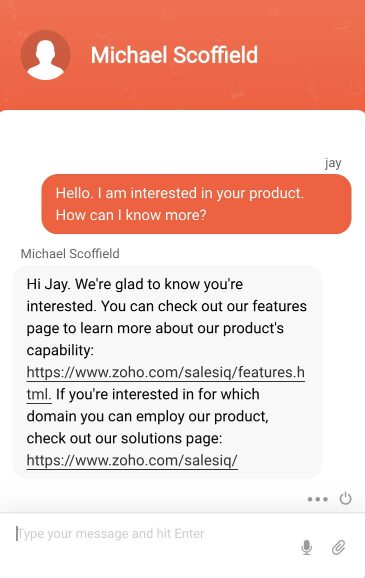 User interface of the live chat software widget from visitor perspective