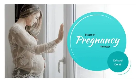 Stages of pregnancy presentation slide