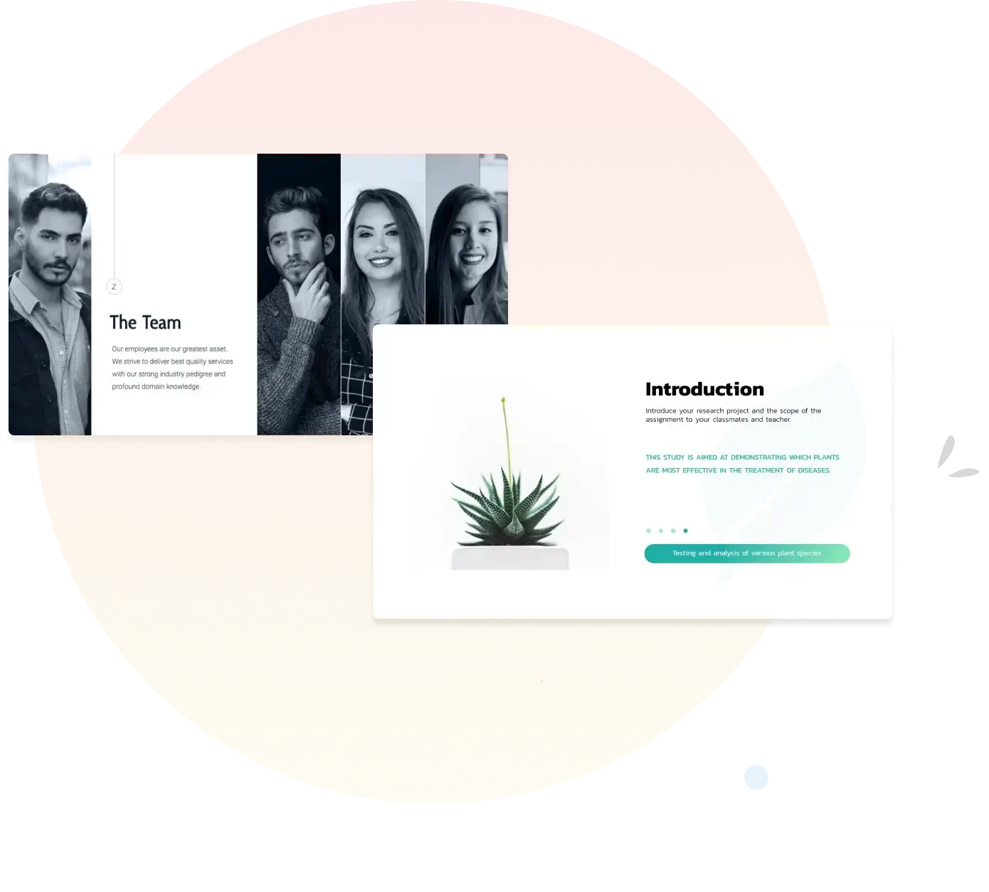 Team slide and introduction slide displayed