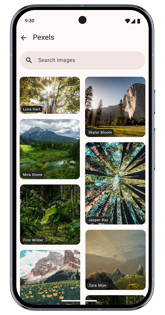 Images listed in Pexels add-on
