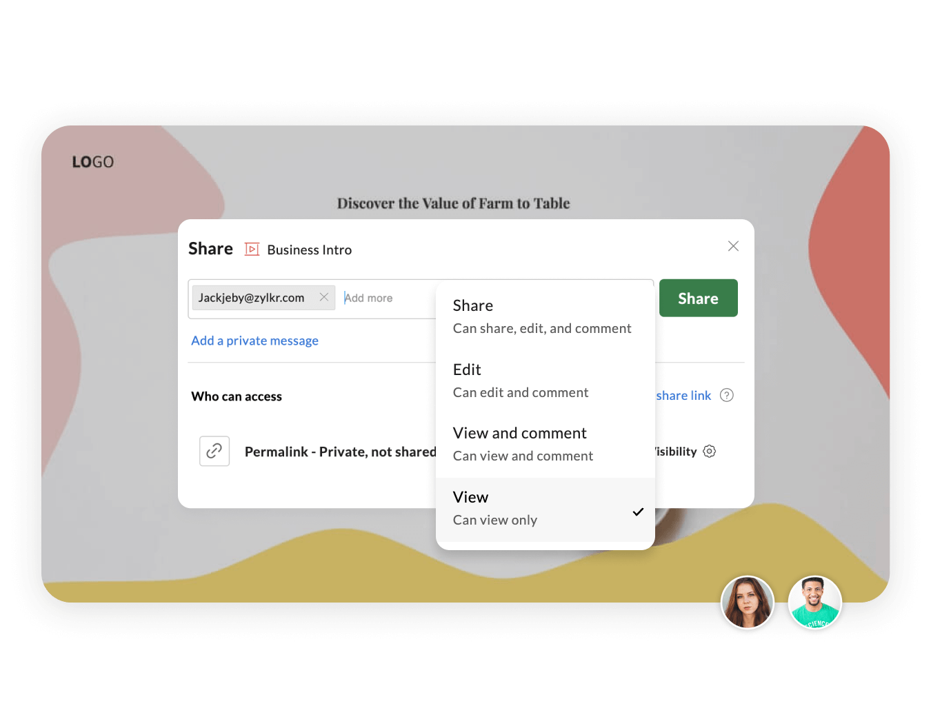Show's share window with different level of permissions displayed