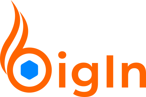 BigIn logo