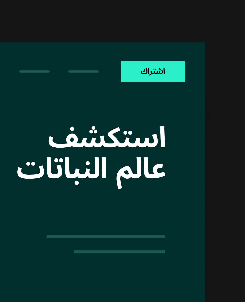 Responsive RTL compatibility for impact