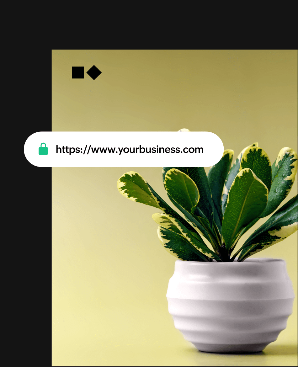 Trust-boosting SSL certificates