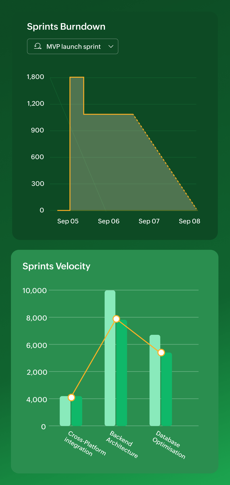 Reports & Insights screen