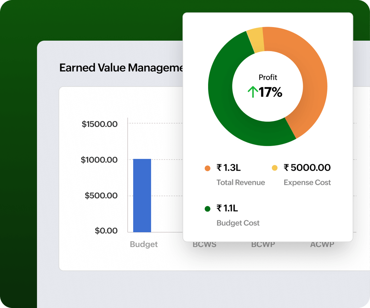 >project budget management tool