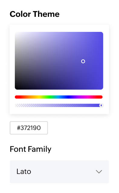 Loyalty widget theme selection