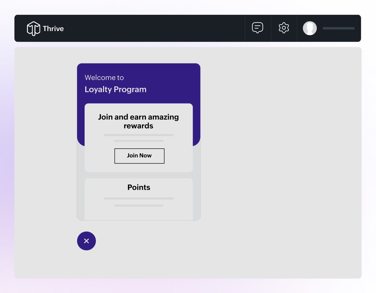 Loyalty widget theme selection