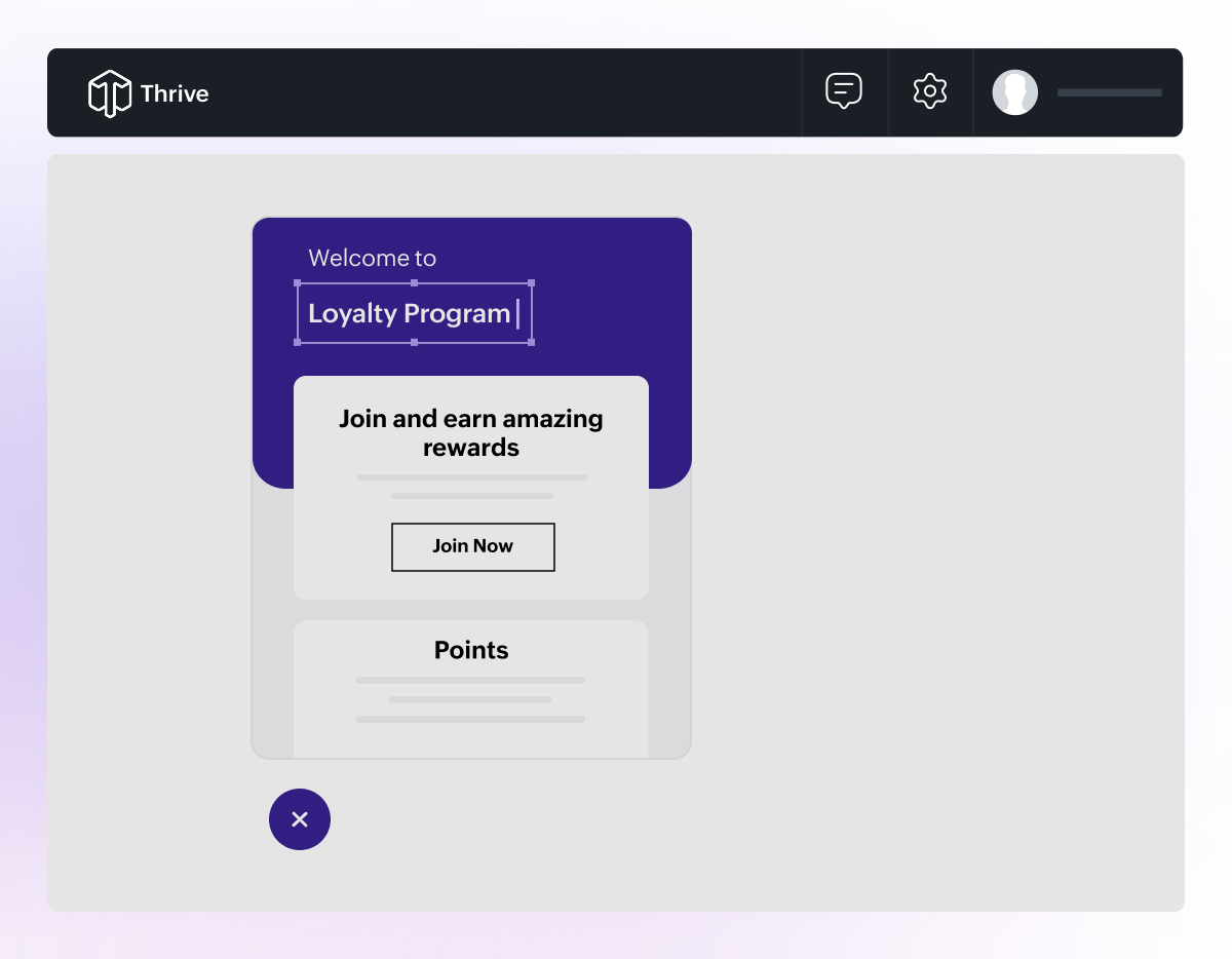 Loyalty widget customization