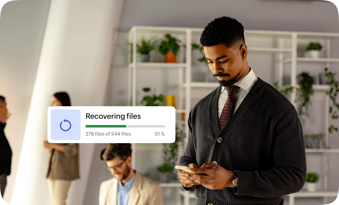 File recovery and backups