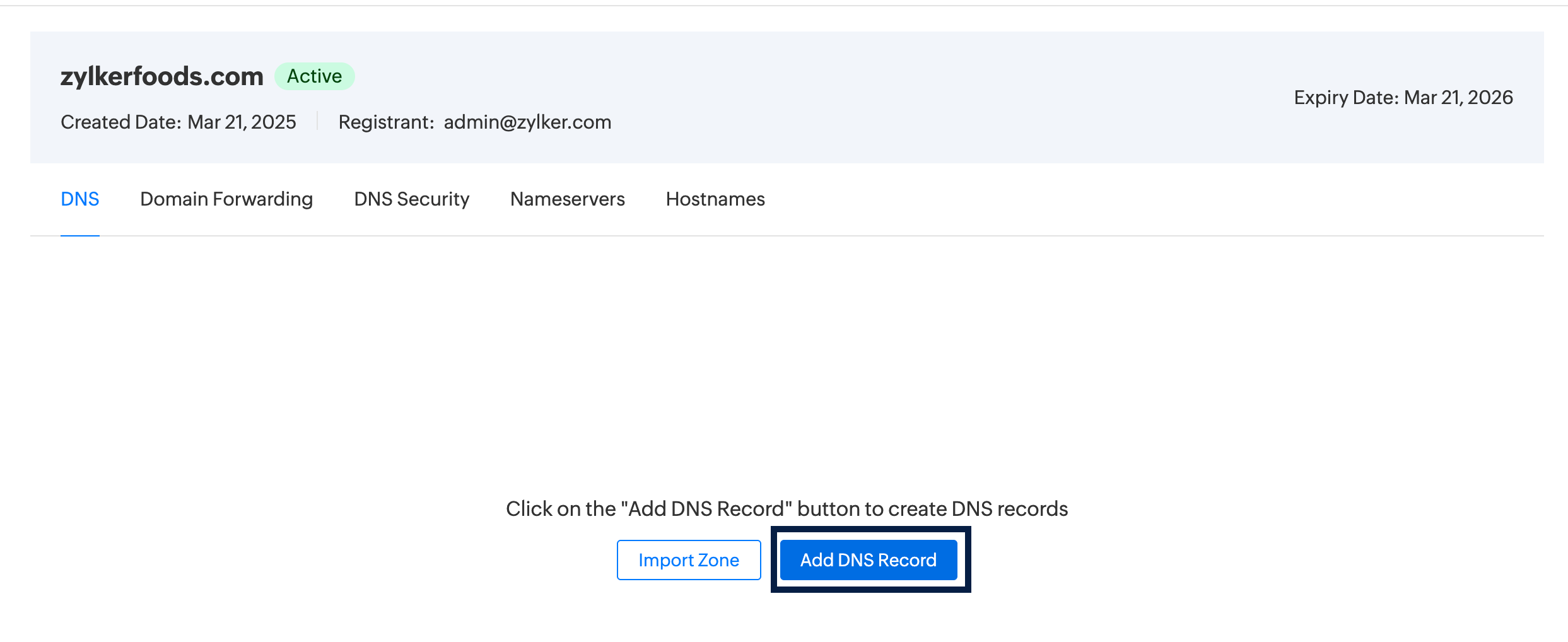 Add dns record